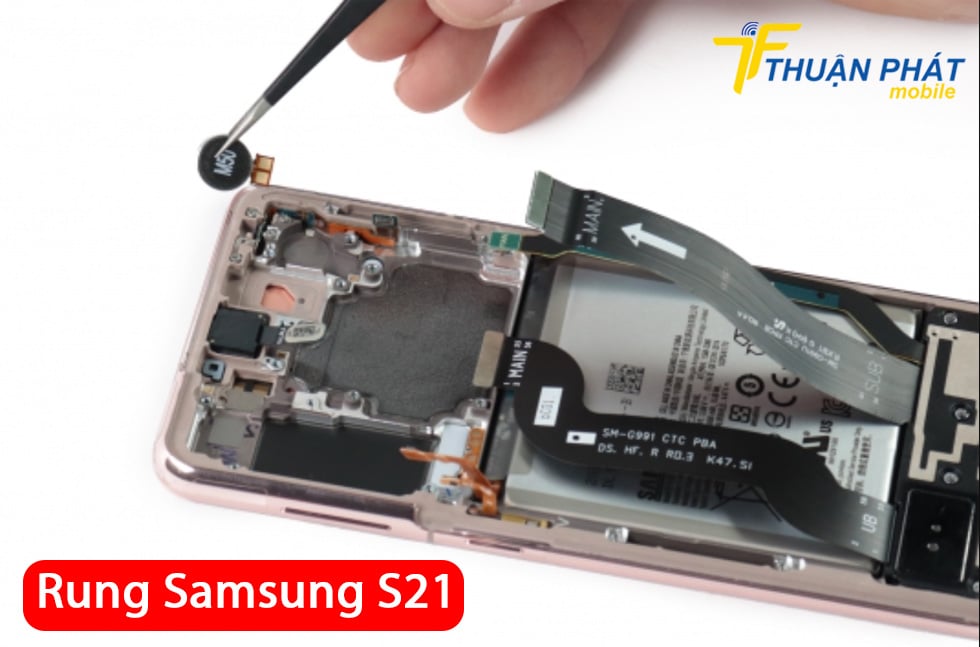 Rung Samsung S21