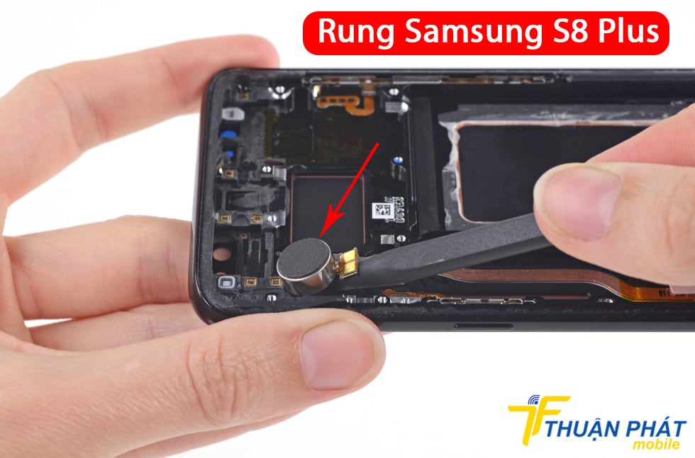 Rung Samsung S8 Plus