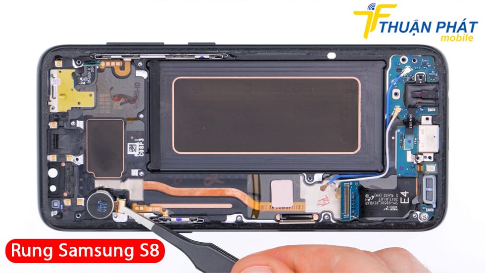 Rung Samsung S8