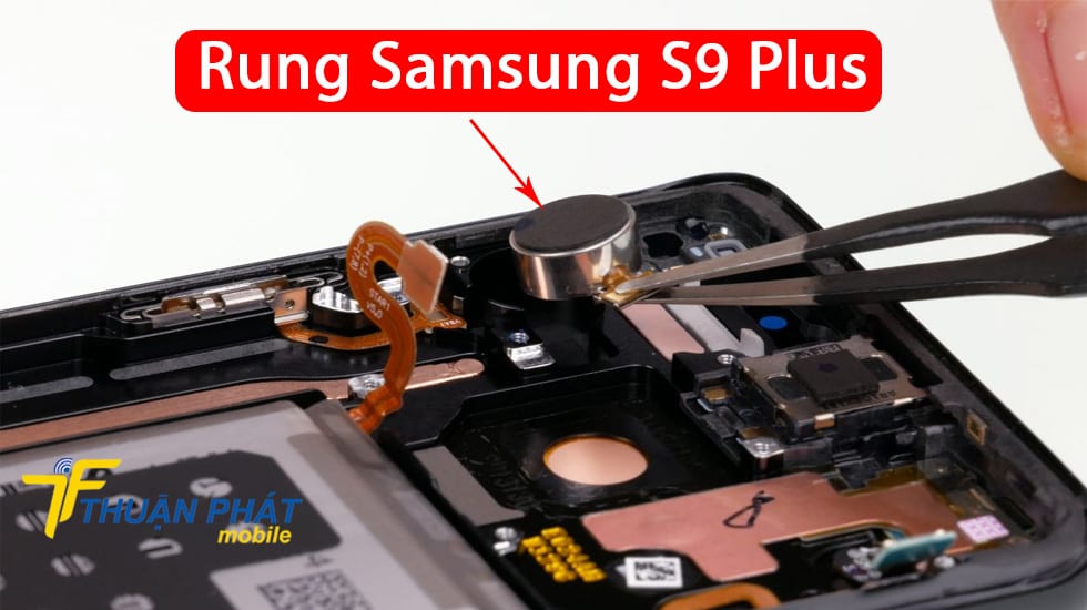 Rung Samsung S9 Plus