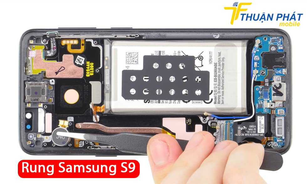Rung Samsung S9