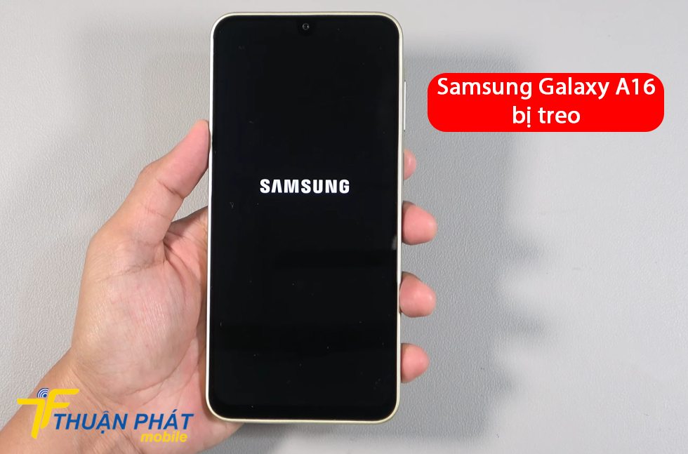 Samsung Galaxy A16 bị treo