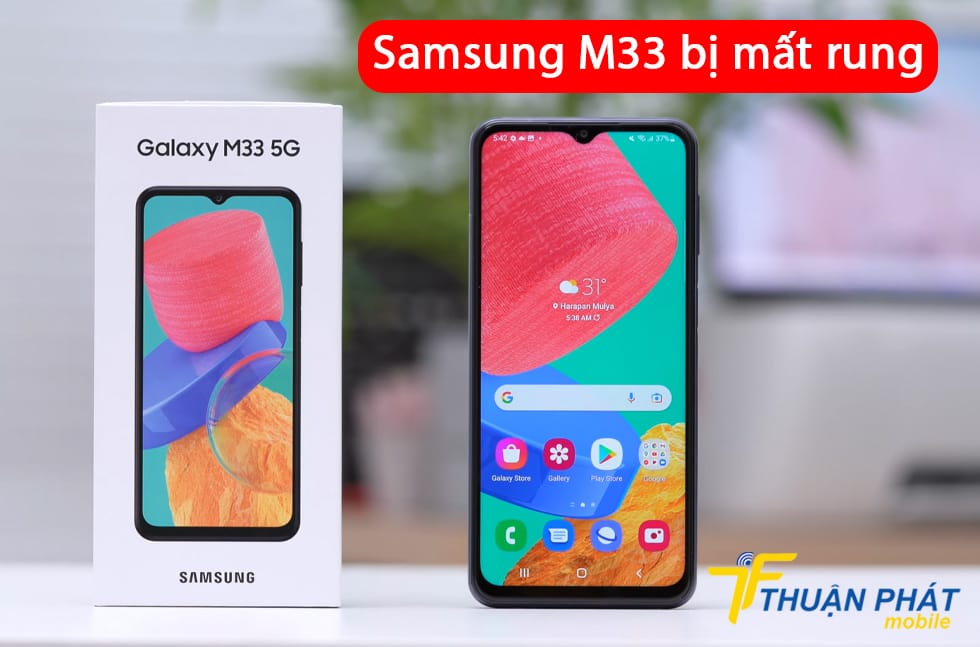 Samsung M33 bị mất rung