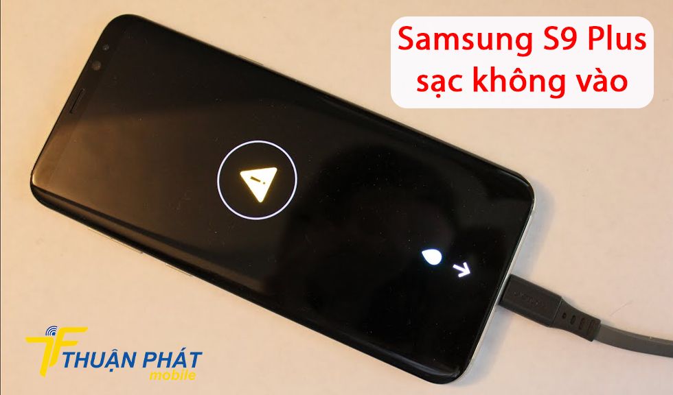 Samsung S9 Plus sạc không vào