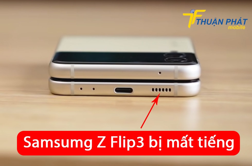 Samsung Z Flip3 bị mất tiếng