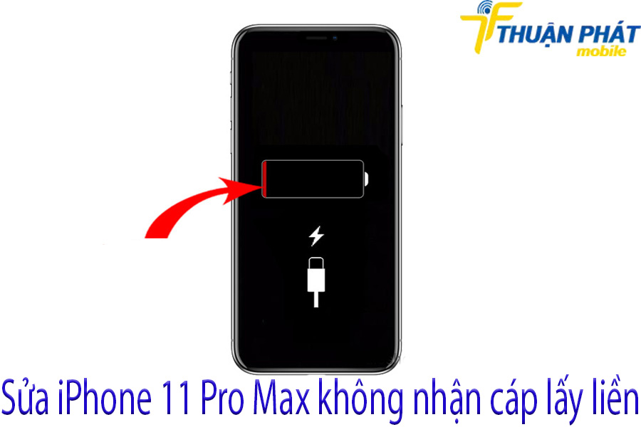 Sửa iPhone 11 Pro Max không nhận cáp lấy liền