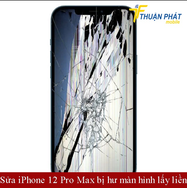 Sửa iPhone 12 Pro Max bị hư màn hình lấy liền Sửa iPhone 12 Pro Max bị hư màn hình lấy liền