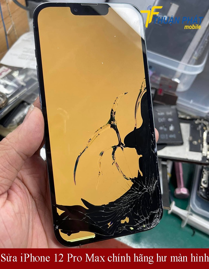 Sửa iPhone 12 Pro Max chính hãng bị hư màn hình