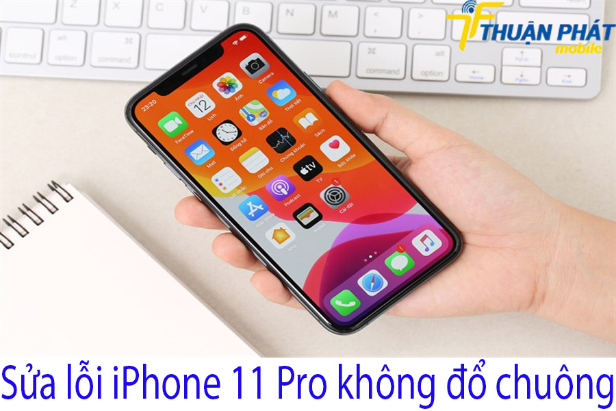 Sửa lỗi iPhone 11 Pro không đổ chuông