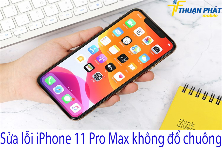 Sửa lỗi iPhone 11 Pro Max không đổ chuông
