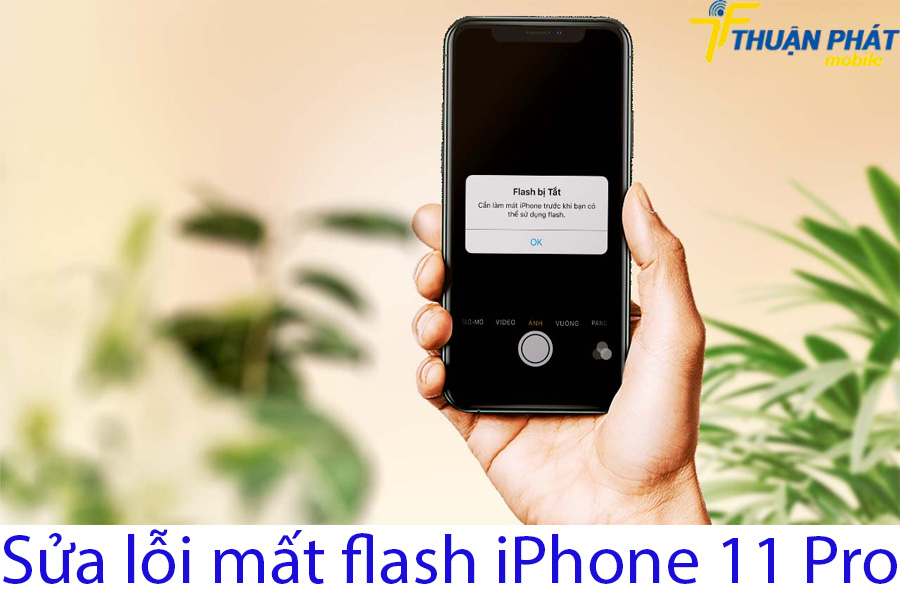 Sửa lỗi mất flash iPhone 11 Pro