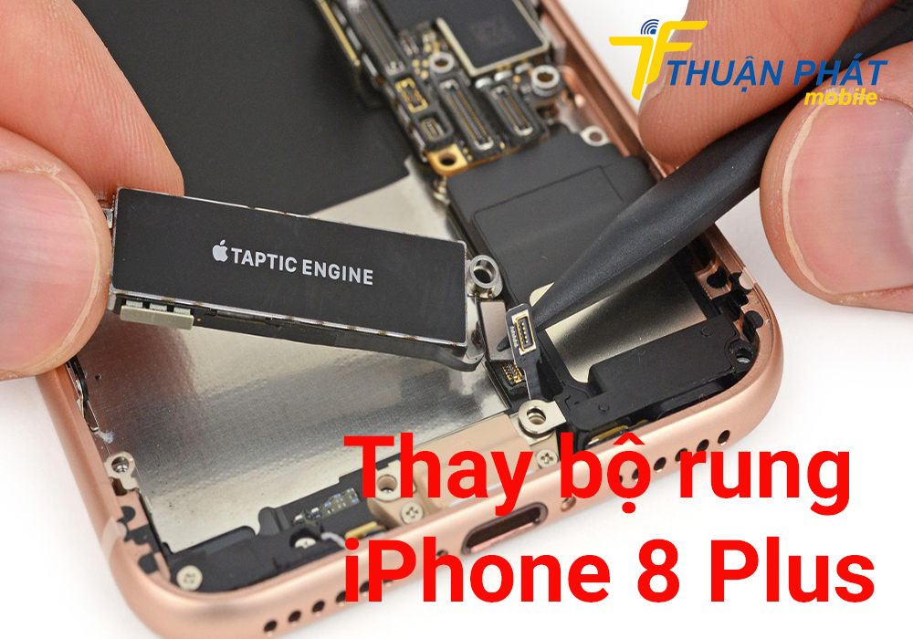 Thay bộ rung iPhone 8 Plus