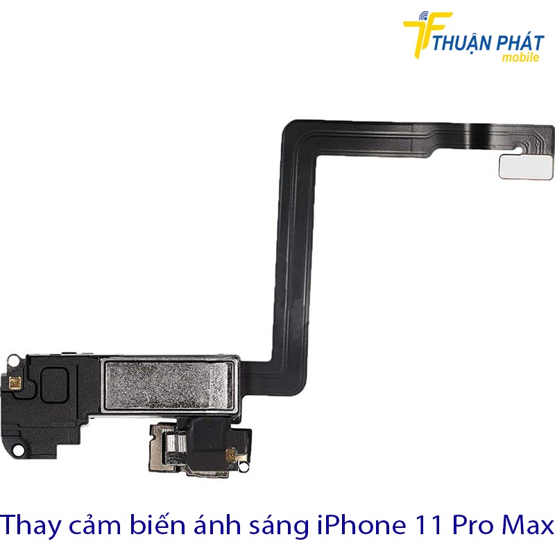 Thay cảm biến ánh sáng iPhone 11 Pro Max
