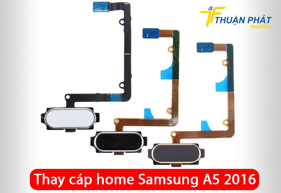 Thay cáp home Samsung A5 2016