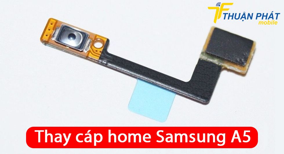 Thay cáp home Samsung A5
