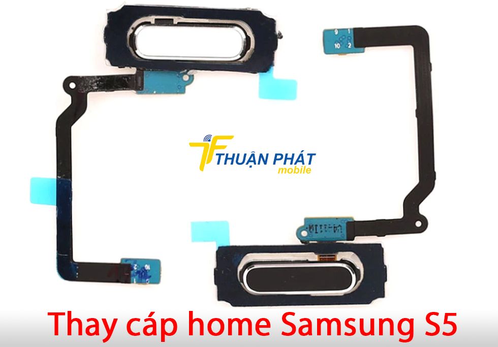 Thay cáp home Samsung S5