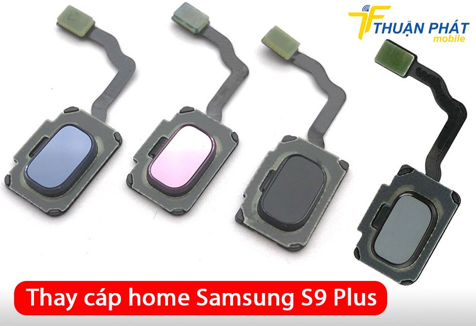 Thay cáp home Samsung S9 Plus