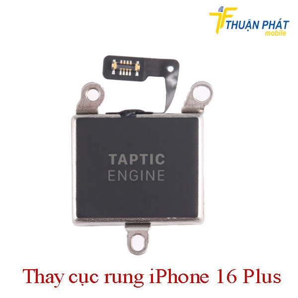 Thay cục rung iPhone 16 Plus