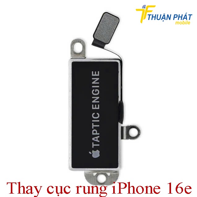 Thay cục rung iPhone 16e