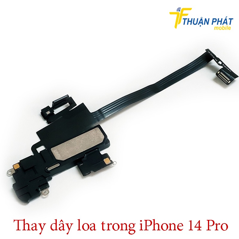 Thay dây loa trong iPhone 14 Pro 