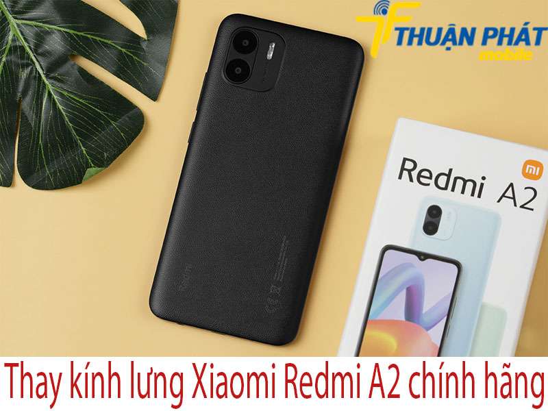Thay kính lưng Xiaomi Redmi A2 tại Thuận Phát Mobile