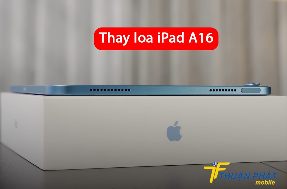 Thay loa iPad A16