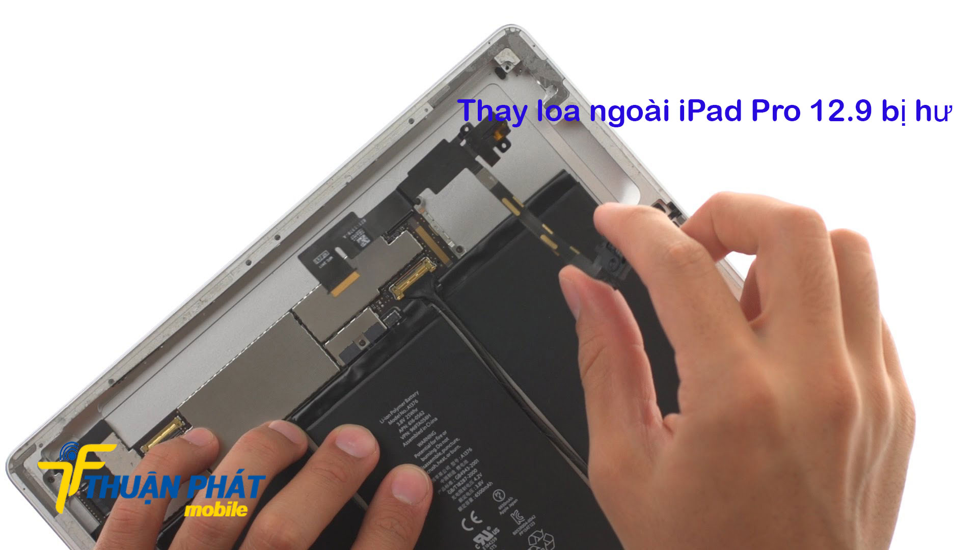 Thay loa ngoài iPad Pro 12.9 bị hư