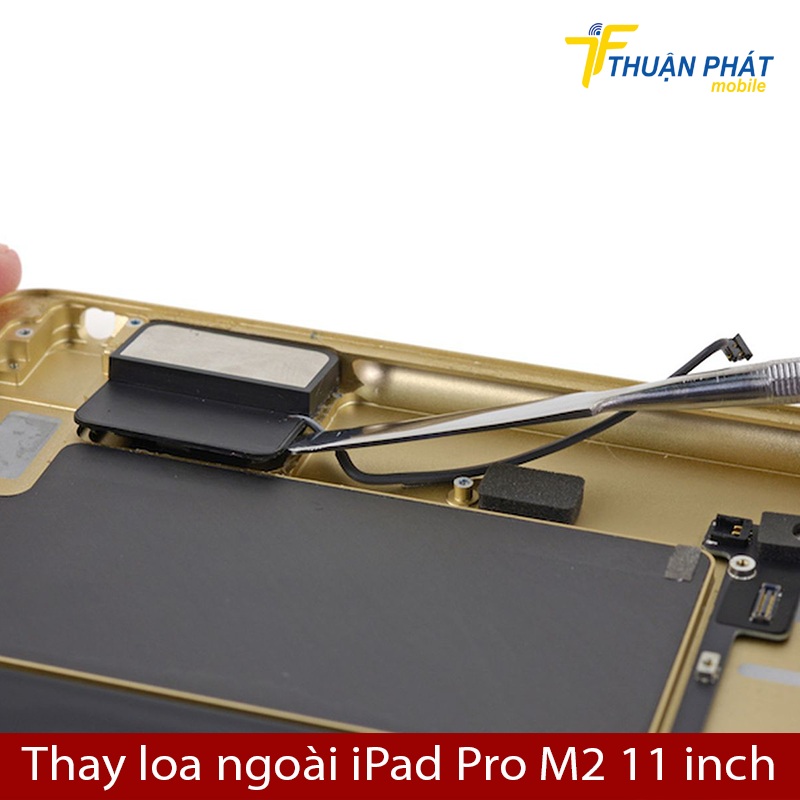 Thay loa ngoài iPad Pro M2 11 inch