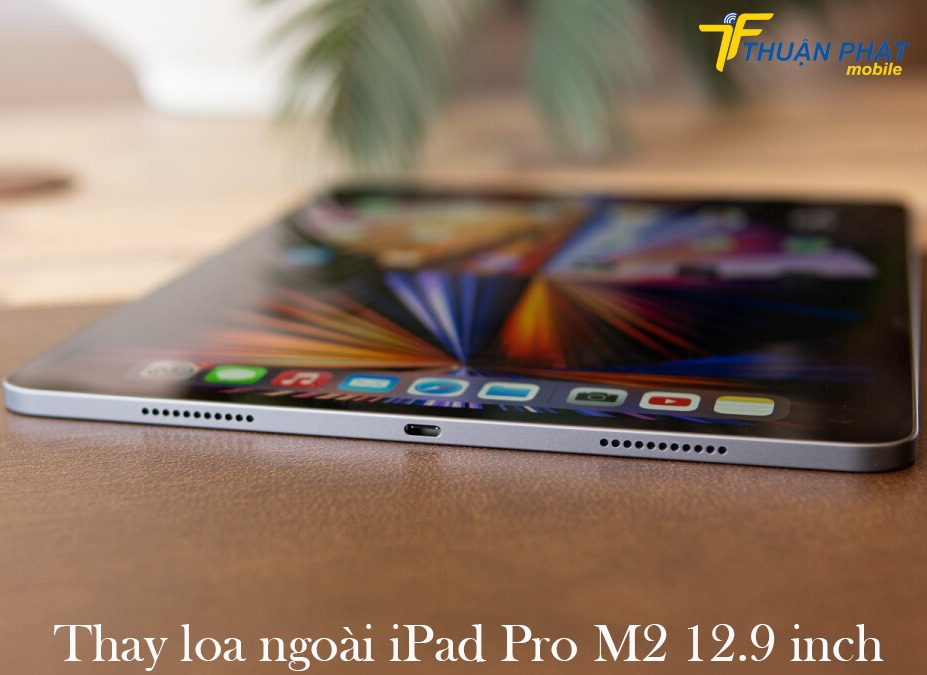 Thay loa ngoài iPad Pro M2 12.9 inch