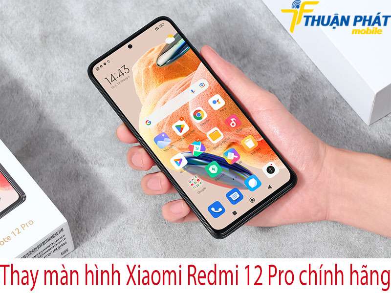 Thay màn hình Xiaomi Redmi 12 Pro tại Thuận Phát Mobile