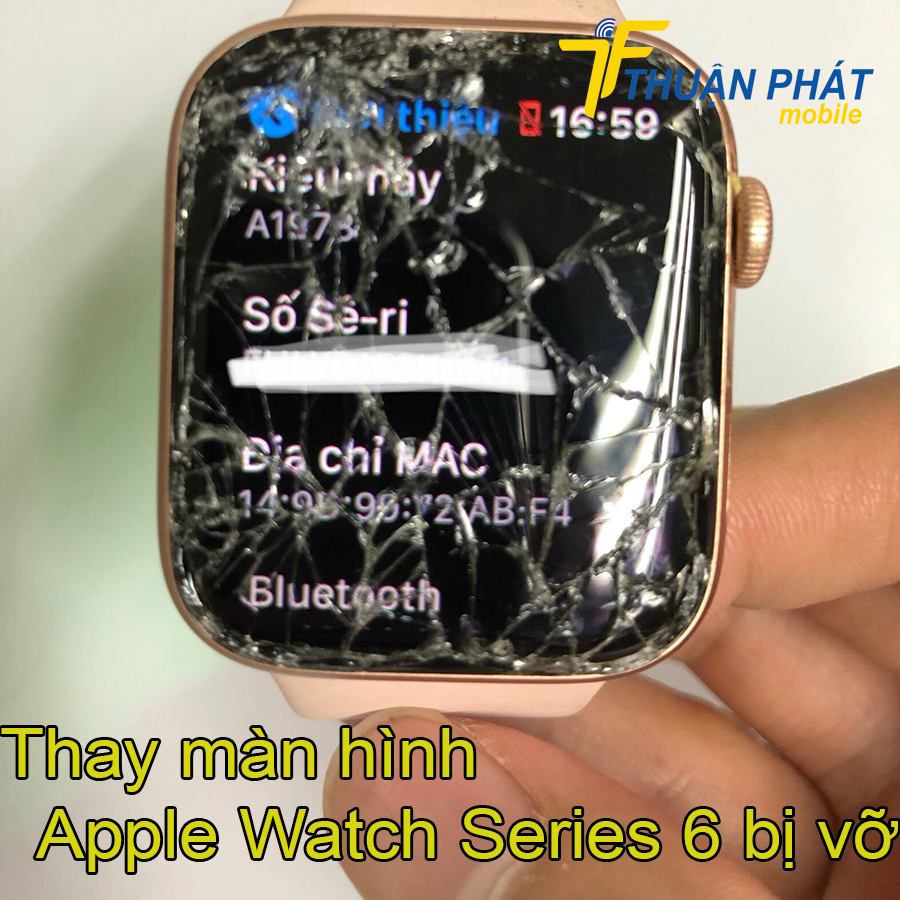 Thay màn hình Apple Watch Series 6 bị vỡ