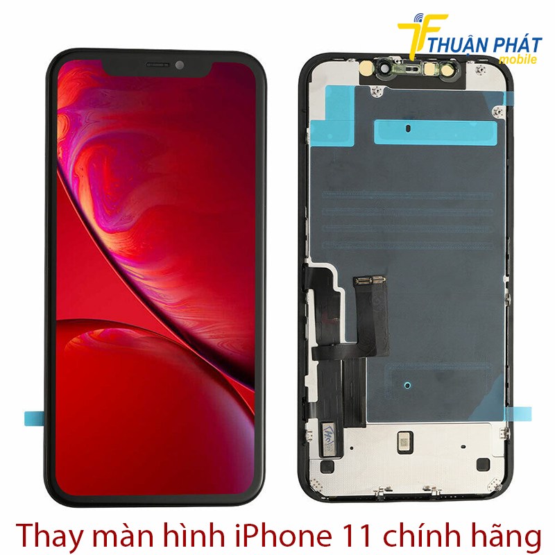 Thay màn hình iPhone 11 chính hãng