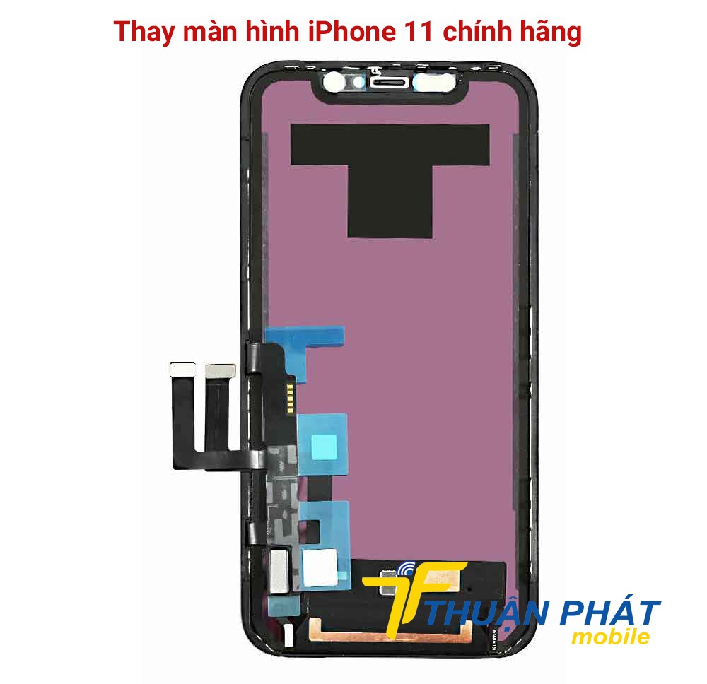 Thay màn hình iPhone 11 chính hãng tại Thuận Phát Mobile