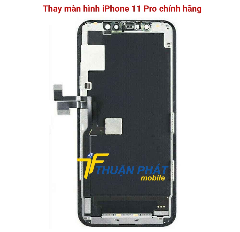 Thay màn hình iPhone 11 Pro chính hãng tại Thuận Phát Mobile