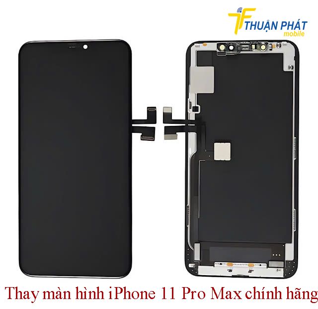 Thay màn hình iPhone 11 Pro Max chính hãng 