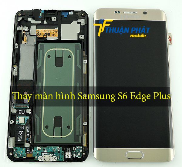 Thay màn hình Samsung S6 Edge Plus tại Thuận Phát Mobile