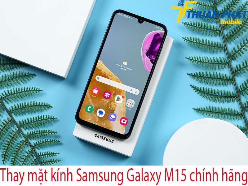 Thay mặt kính Samsung Galaxy M15 chính hãng tại Thuận Phát Mobile