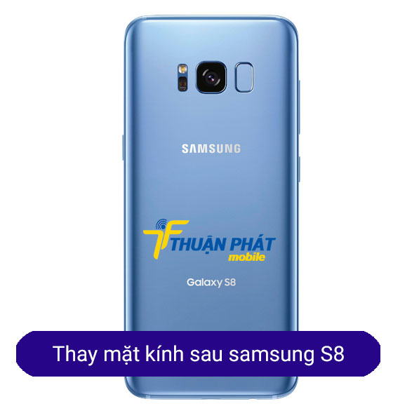 thay mặt kính sau samsung s8 chính hãng thay mặt kính sau samsung s8 chính hãng