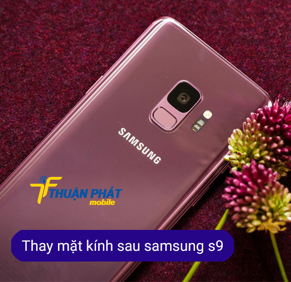 thay mặt kính sau samsung S9 chính hãng thay mặt kính sau samsung S9 chính hãng