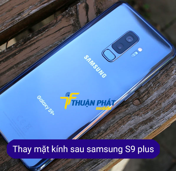 thay mặt kính sau samsung S9 Plus chính hãng thay mặt kính sau samsung S9 Plus chính hãng