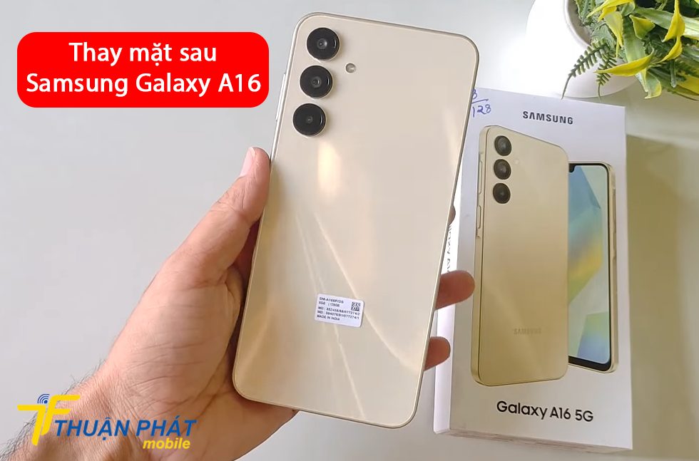 Thay mặt sau Samsung Galaxy A16