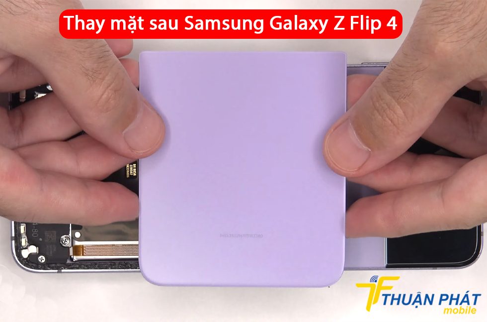 Thay mặt sau Samsung Galaxy Z Flip 4