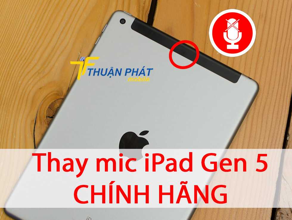 Thay mic iPad Gen 5 chính hãng