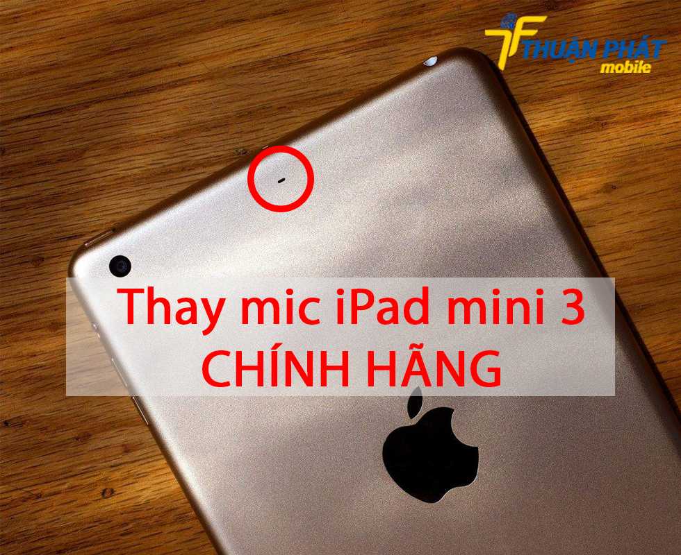 Thay mic iPad mini 3 chính hãng