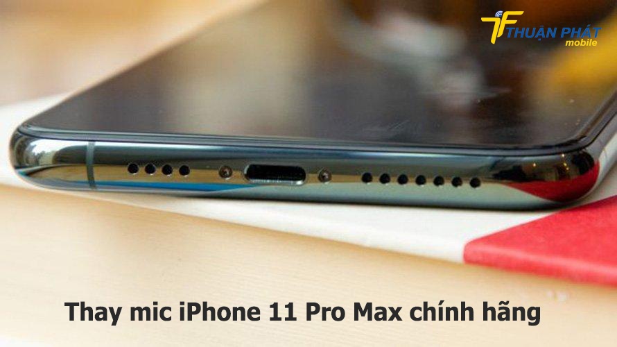 Thay mic iPhone 11 Pro Max chính hãng