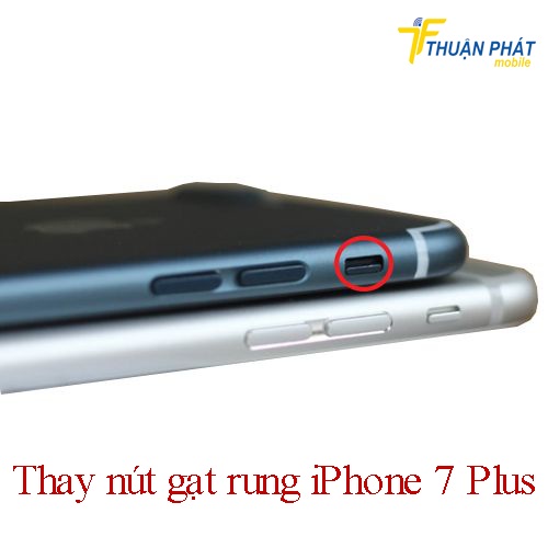 Thay nút gạt rung iPhone 7 Plus