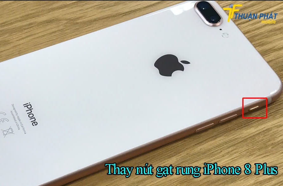 Thay nút gạt rung iPhone 8 Plus 