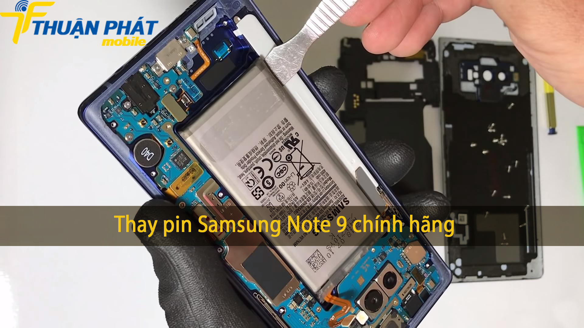 Thay pin Samsung Note 9 chính hãng tại Thuận Phát Mobile