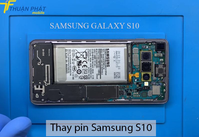 Thay pin Samsung S10 chính hãng tại Thuận Phát Mobile