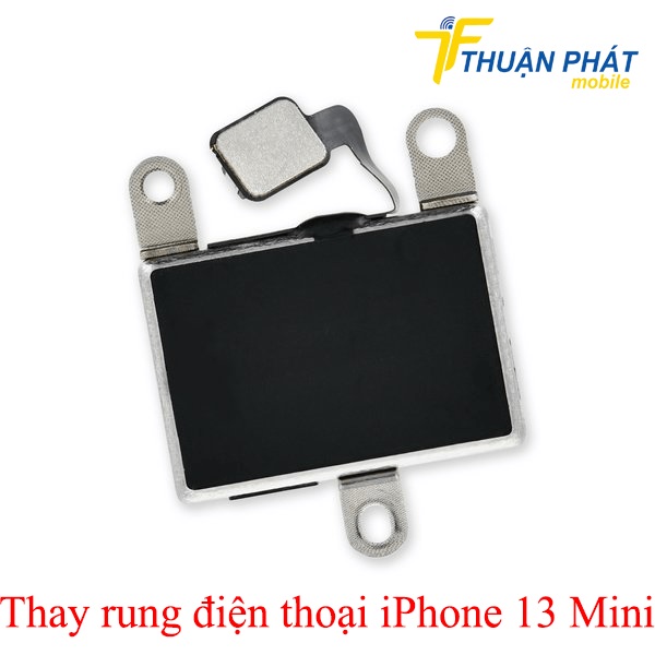 Thay rung điện thoại iPhone 13 Mini